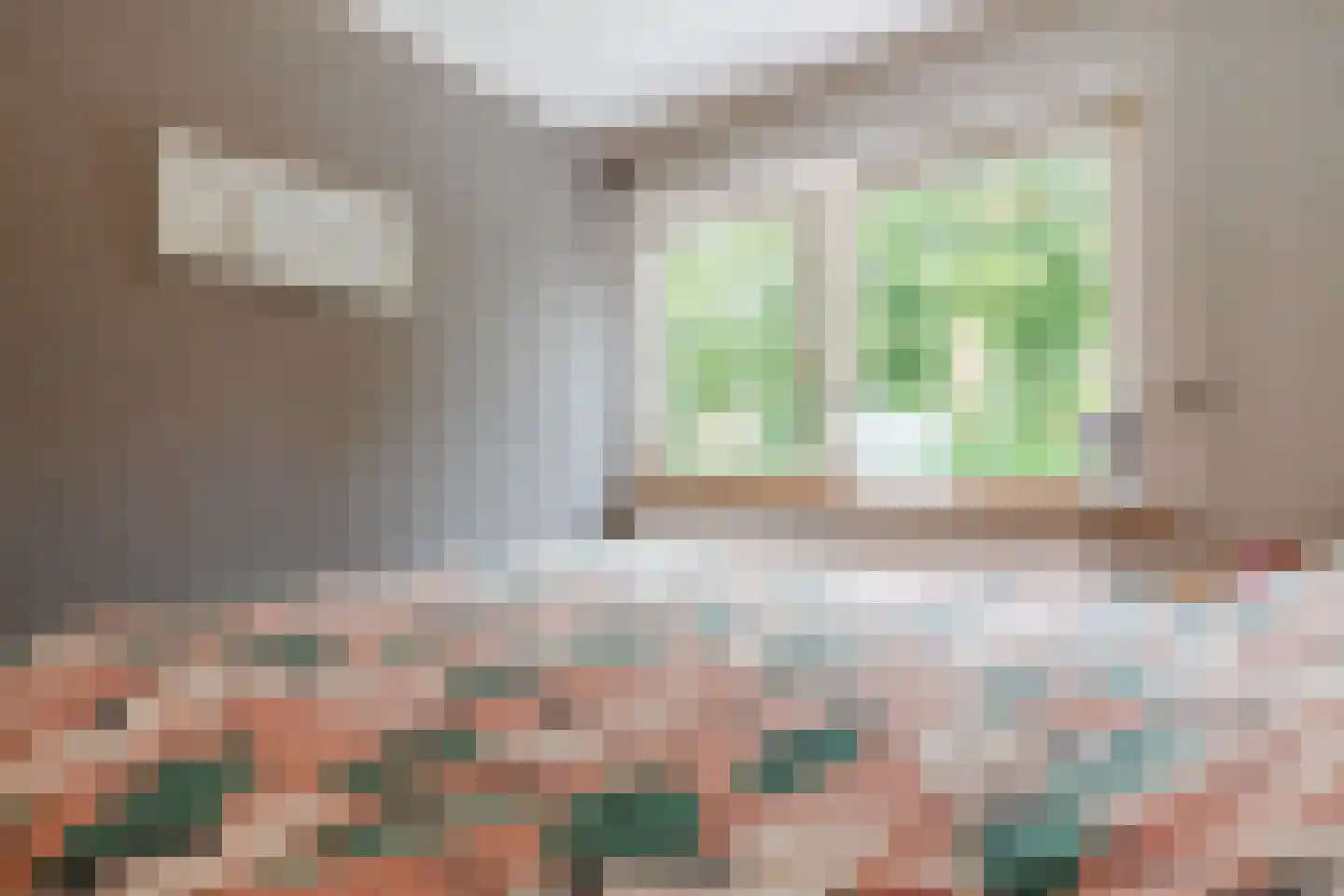 Begoniastraat 39 Echt thumbnail 42