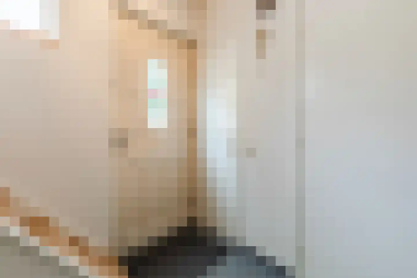 Begoniastraat 39 Echt thumbnail 8