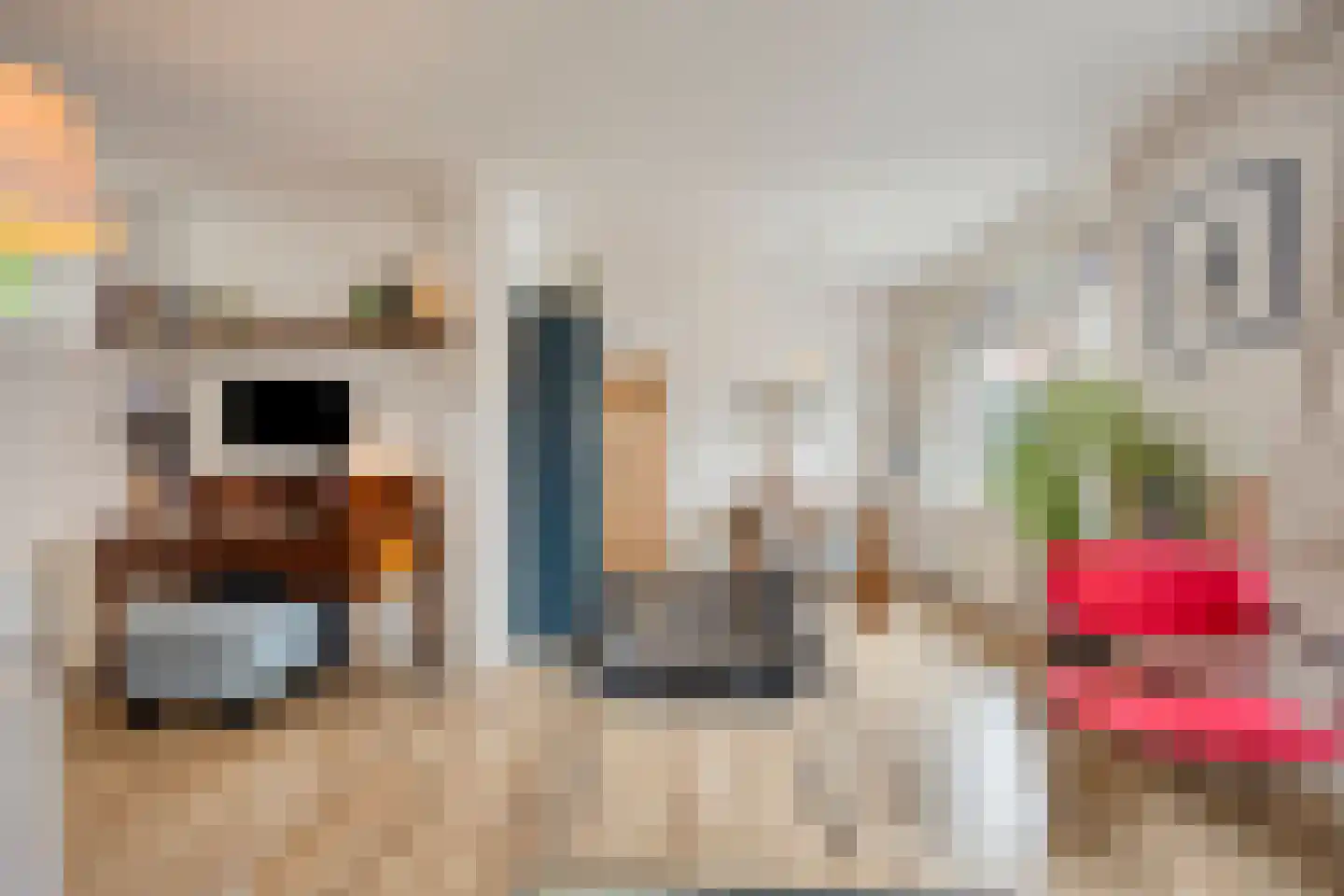 Begoniastraat 4 A Rotterdam thumbnail 12