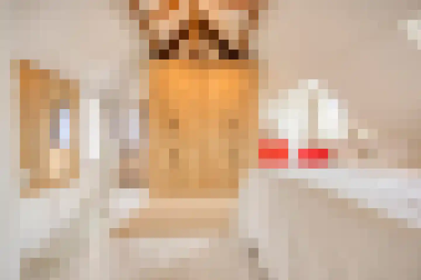 Begoniastraat 4 A Rotterdam thumbnail 24