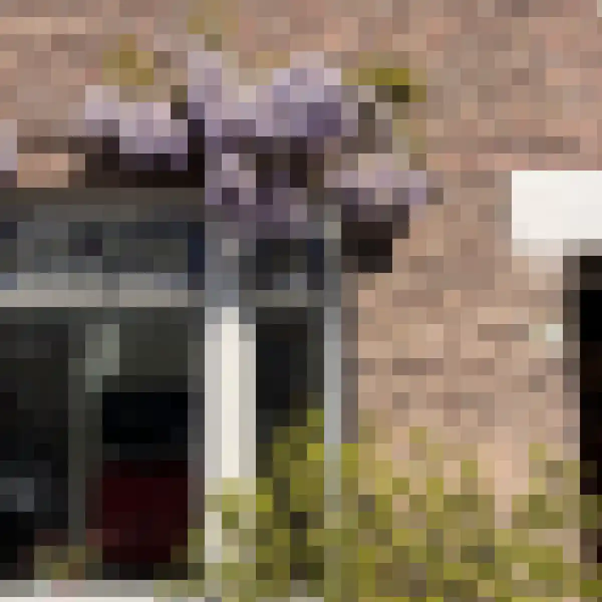 Begoniastraat 4 A Rotterdam thumbnail 27