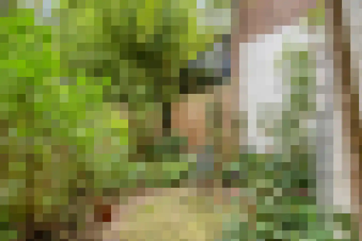 Begoniastraat 4 A Rotterdam thumbnail 4