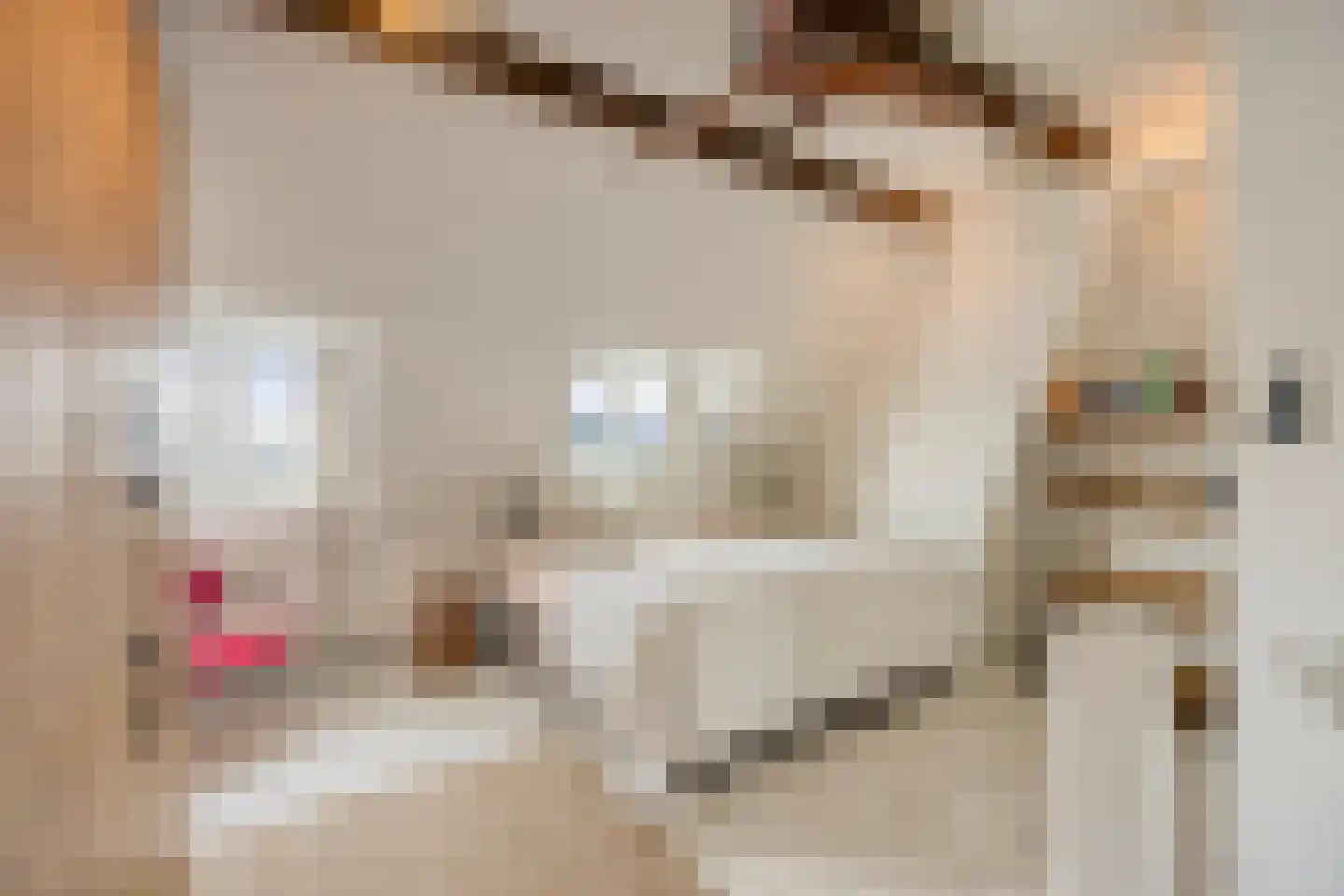 Begoniastraat 4 A Rotterdam thumbnail 5