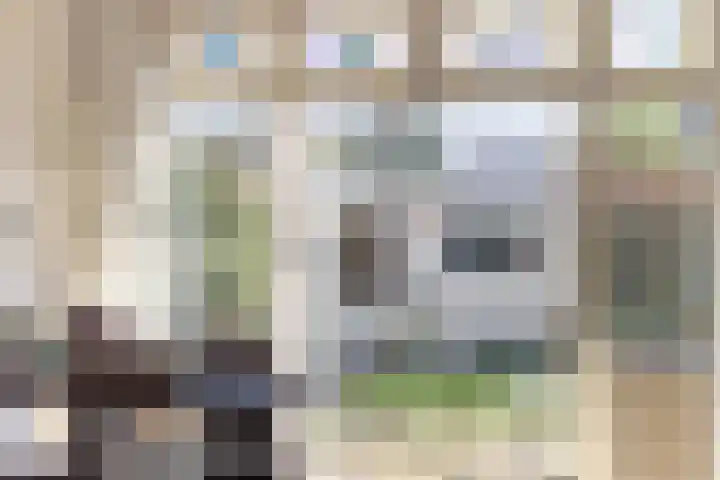 Begoniastraat 4 Zwolle thumbnail 10