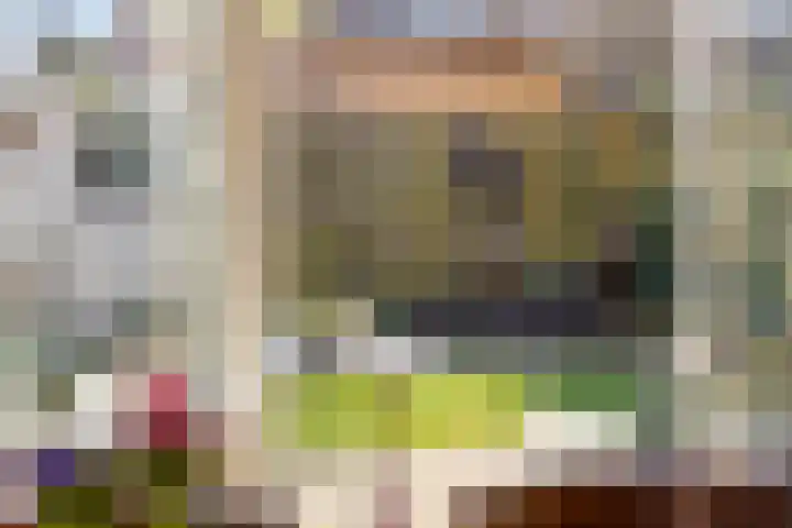 Begoniastraat 4 Zwolle thumbnail 11