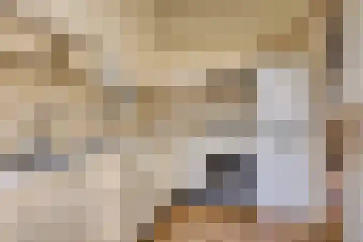 Begoniastraat 4 Zwolle thumbnail 14