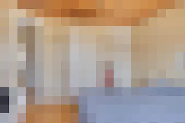 Begoniastraat 4 Zwolle thumbnail 19