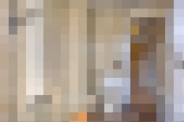 Begoniastraat 4 Zwolle thumbnail 22