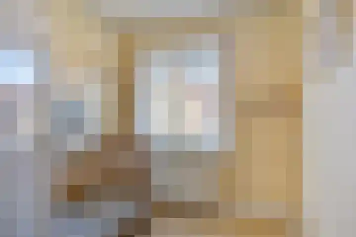 Begoniastraat 4 Zwolle thumbnail 23