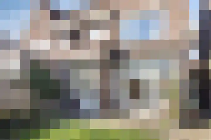 Begoniastraat 4 Zwolle thumbnail 29