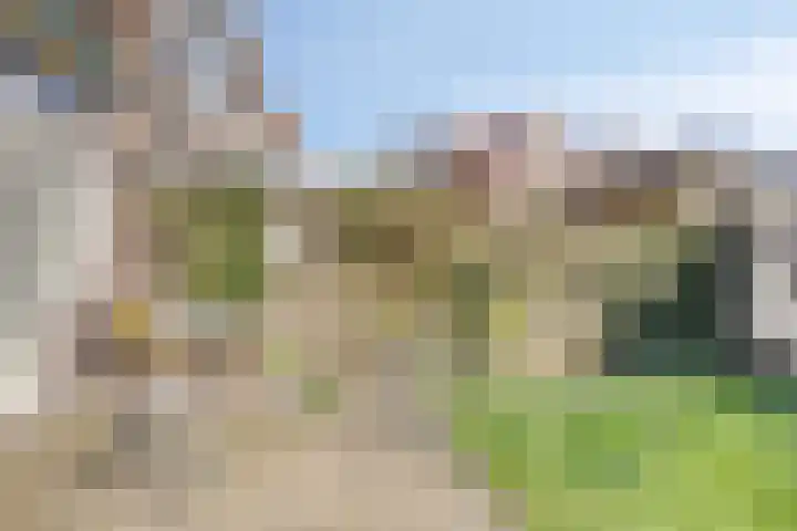 Begoniastraat 4 Zwolle thumbnail 31