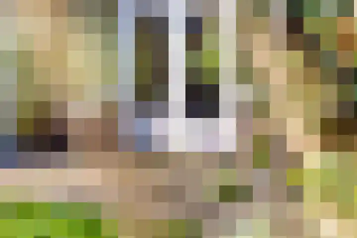 Begoniastraat 4 Zwolle thumbnail 32