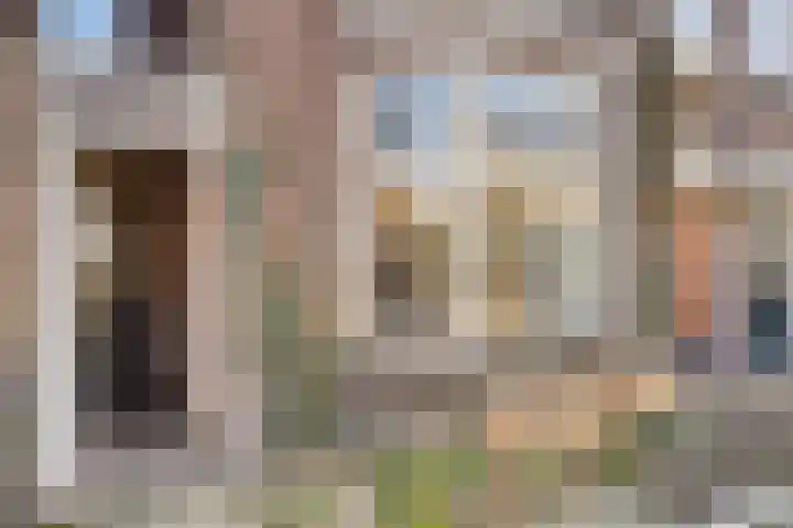 Begoniastraat 4 Zwolle thumbnail 33