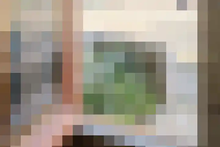 Begoniastraat 4 Zwolle thumbnail 34