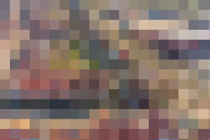 Begoniastraat 4 Zwolle thumbnail 39