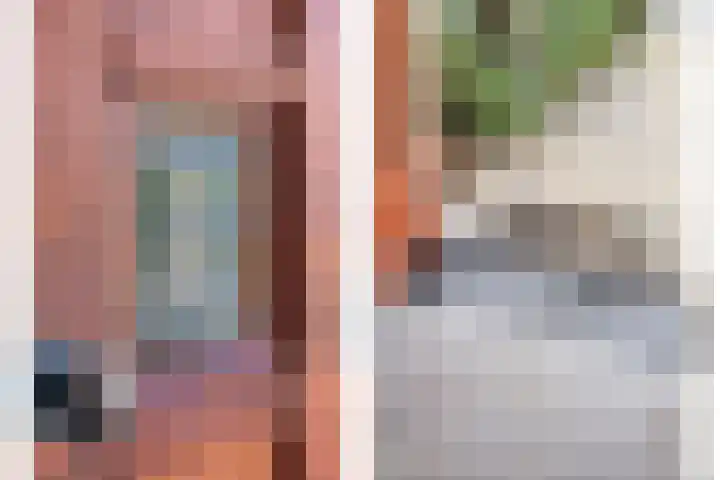 Begoniastraat 4 Zwolle thumbnail 4