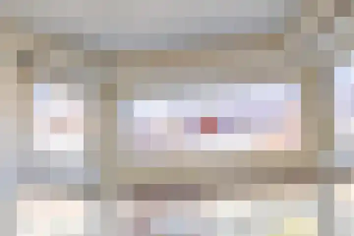 Begoniastraat 4 Zwolle thumbnail 7