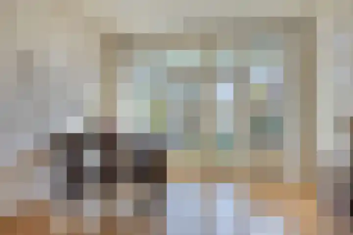 Begoniastraat 4 Zwolle thumbnail 9