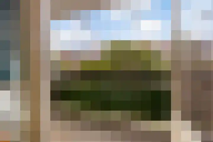 Begoniastraat 40 Zwijndrecht thumbnail 17