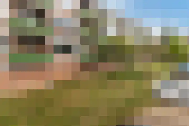 Begoniastraat 40 Zwijndrecht thumbnail 19