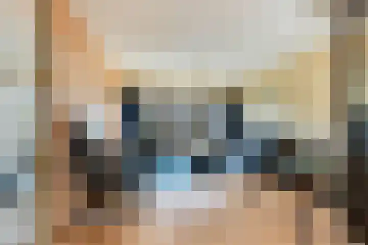 Begoniastraat 40 Zwijndrecht thumbnail 6