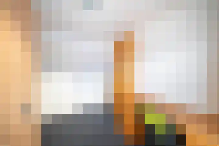 Begoniastraat 42 Leeuwarden thumbnail 22