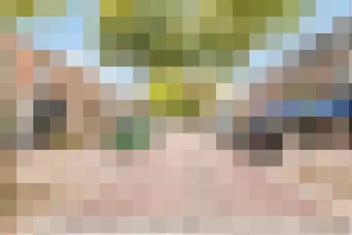 Begoniastraat 43 A 1 Hilversum thumbnail 12