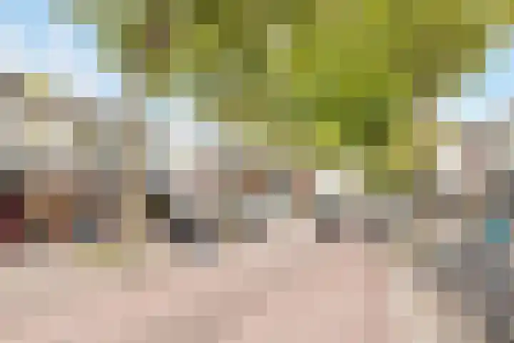 Begoniastraat 43 A 1 Hilversum thumbnail 13
