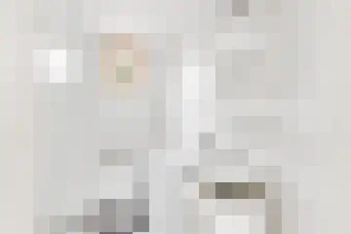 Begoniastraat 43 A 1 Hilversum thumbnail 8