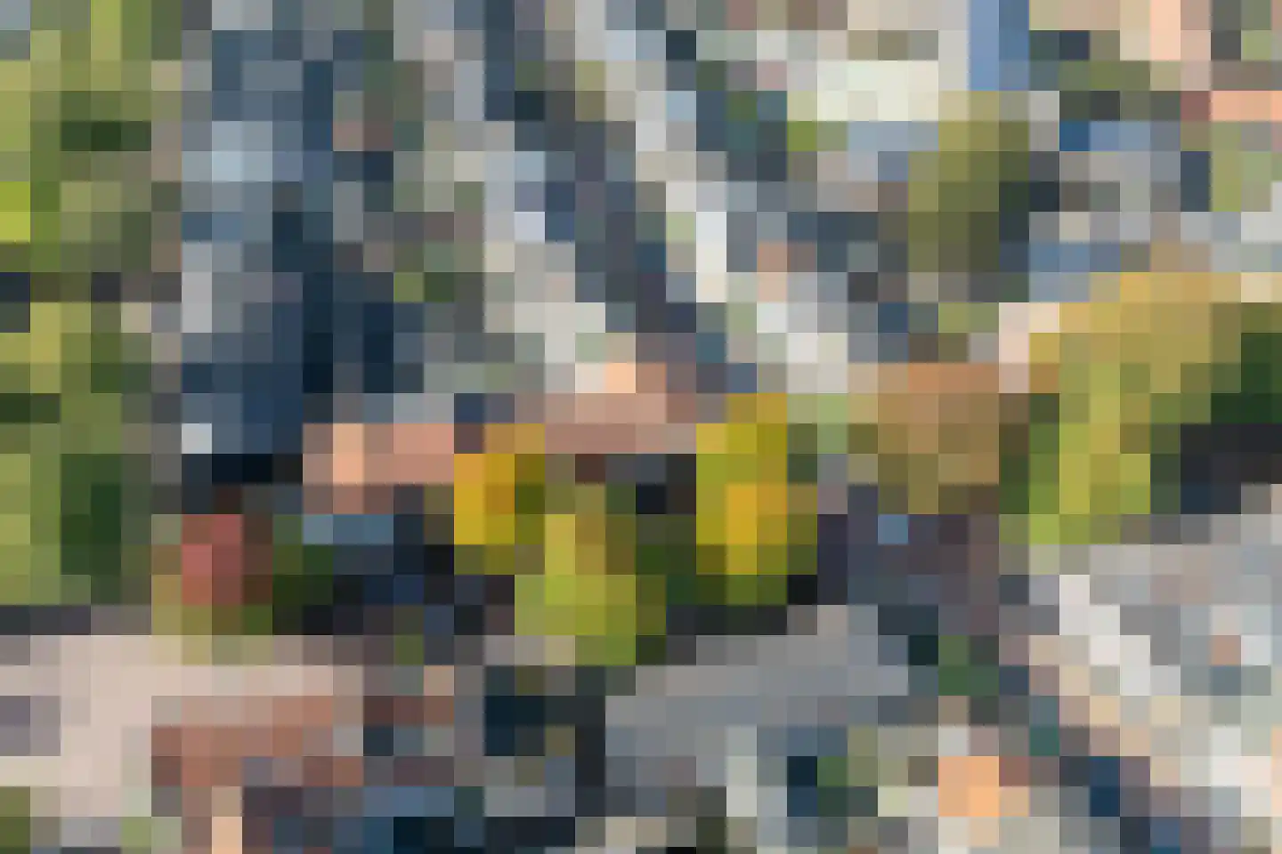 Begoniastraat 43 B Hilversum thumbnail 32