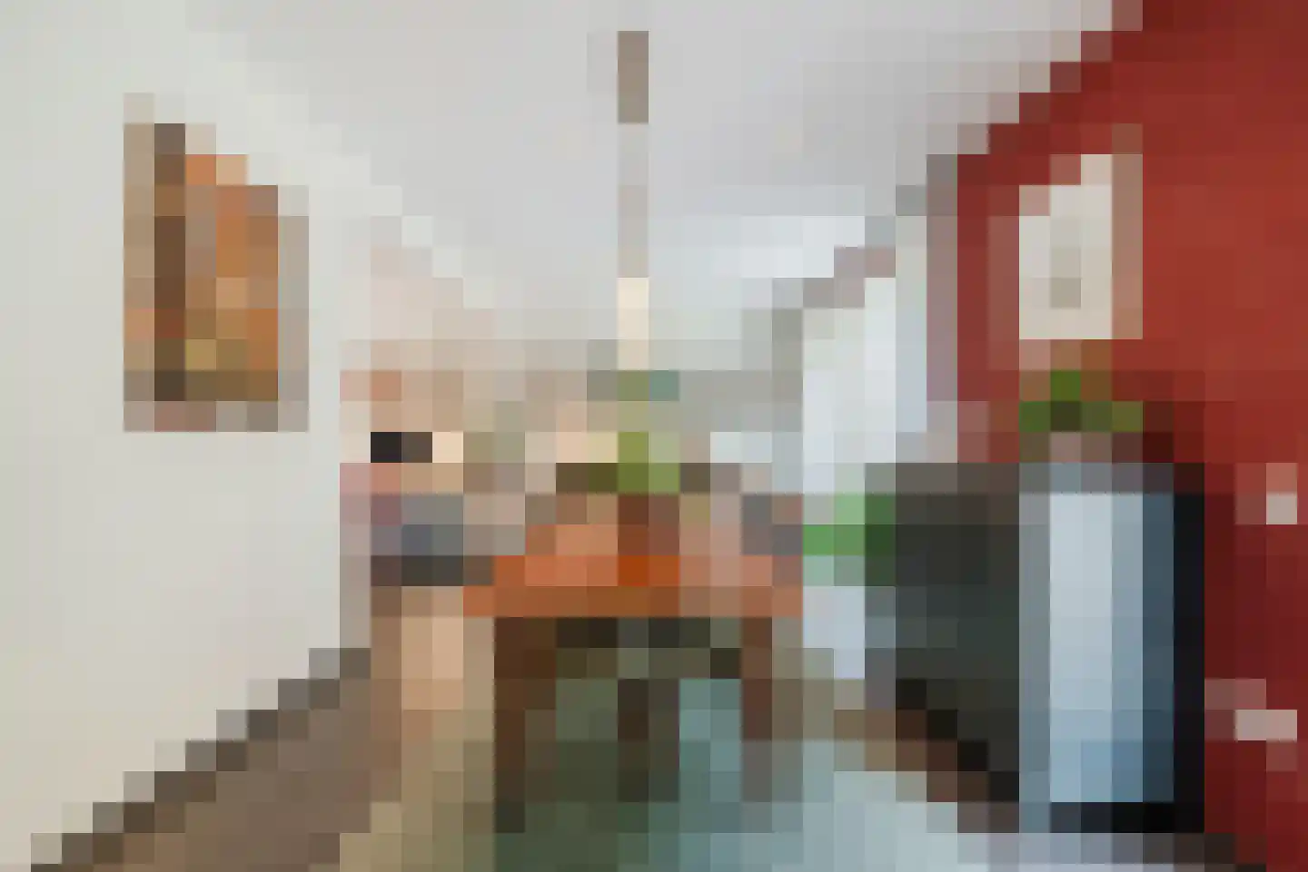 Begoniastraat 43 Echt thumbnail 18