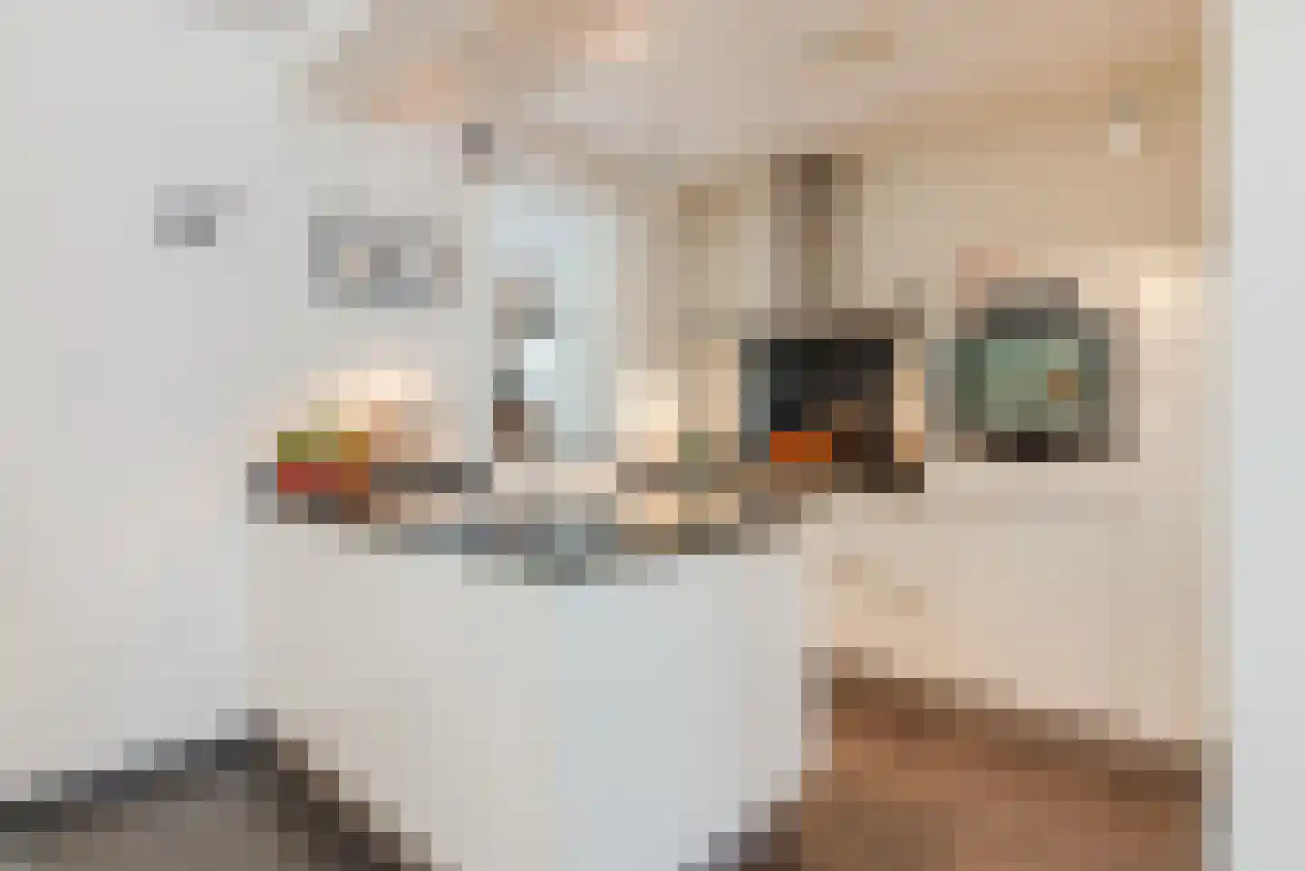 Begoniastraat 43 Echt thumbnail 20
