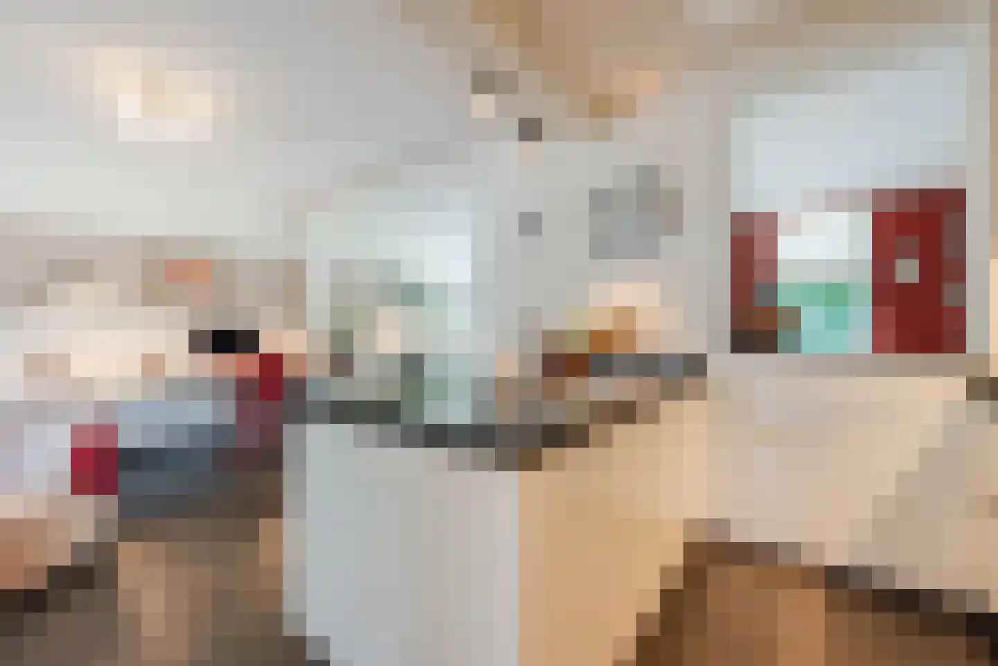 Begoniastraat 43 Echt thumbnail 21