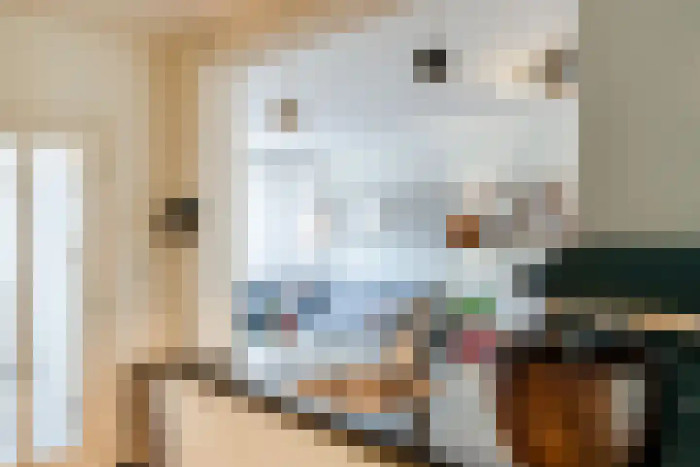 Begoniastraat 43 Echt thumbnail 25