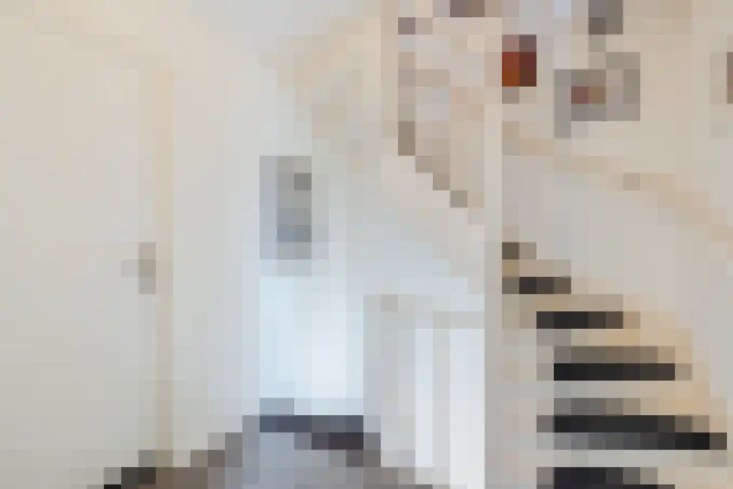 Begoniastraat 43 Echt thumbnail 26