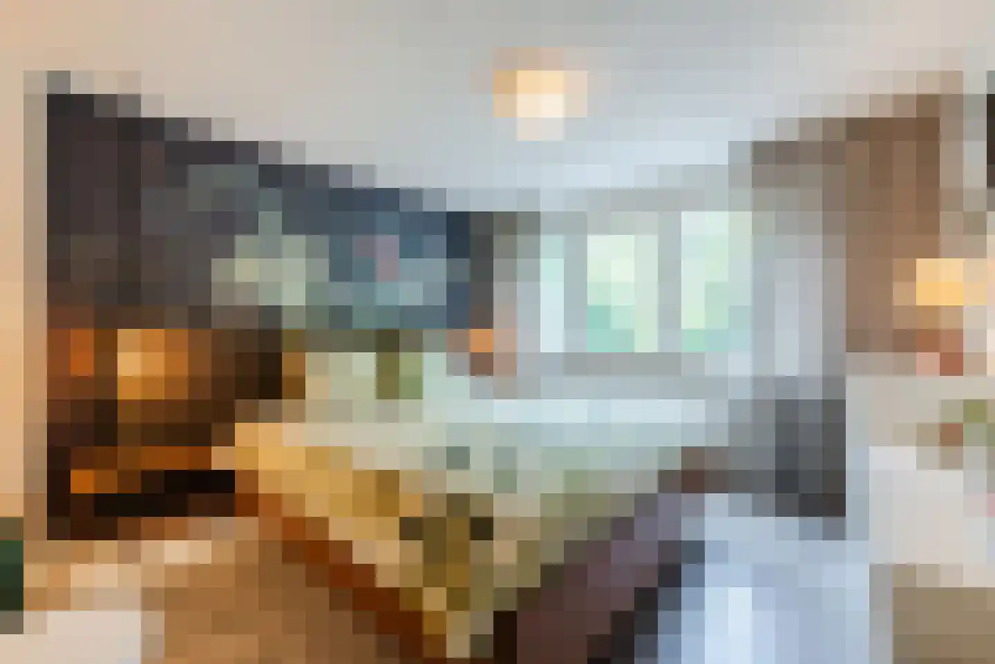 Begoniastraat 43 Echt thumbnail 27