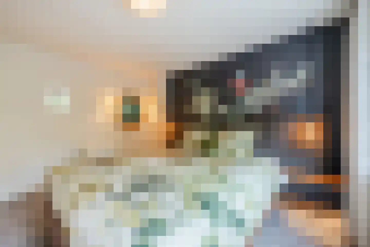 Begoniastraat 43 Echt thumbnail 28