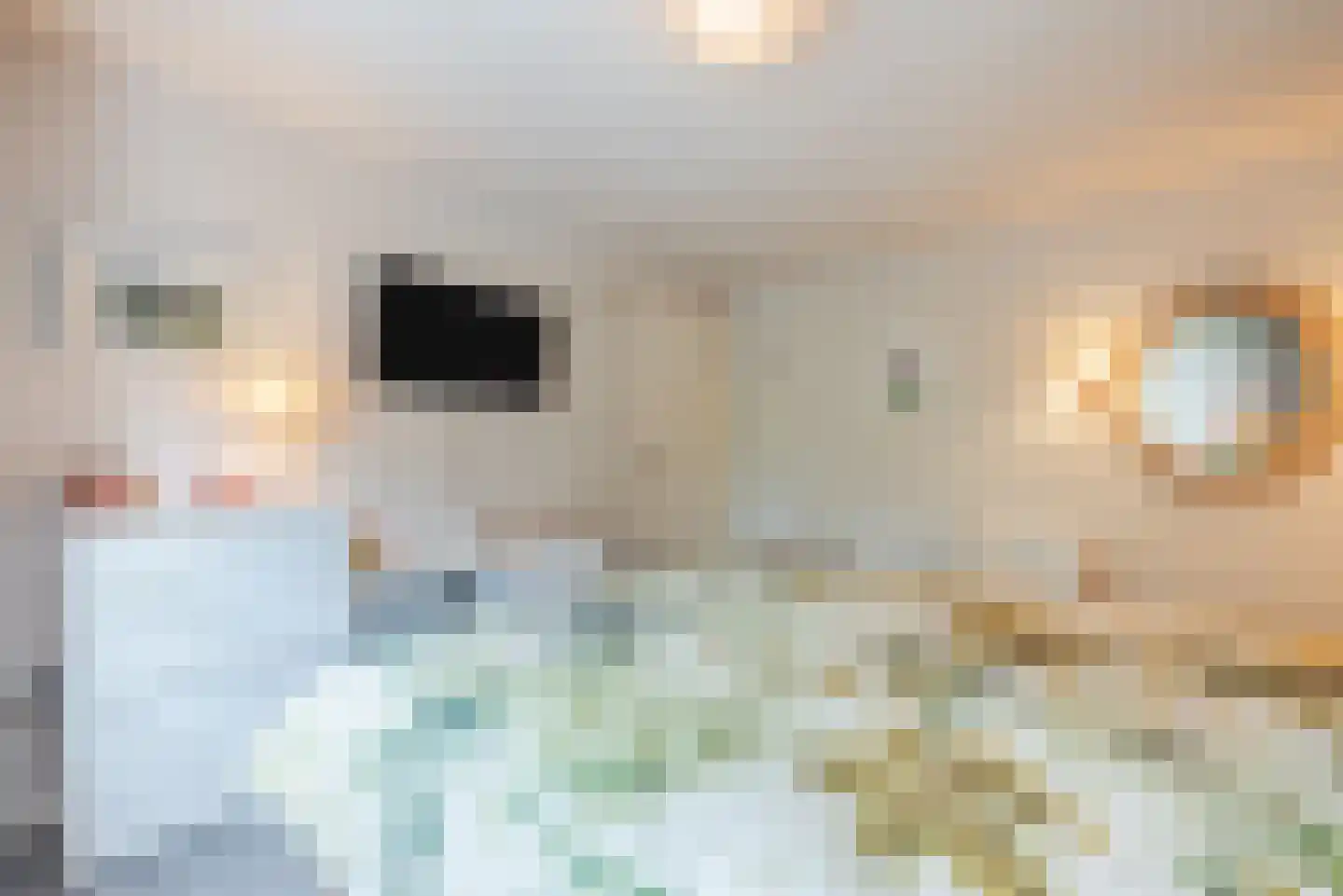 Begoniastraat 43 Echt thumbnail 29