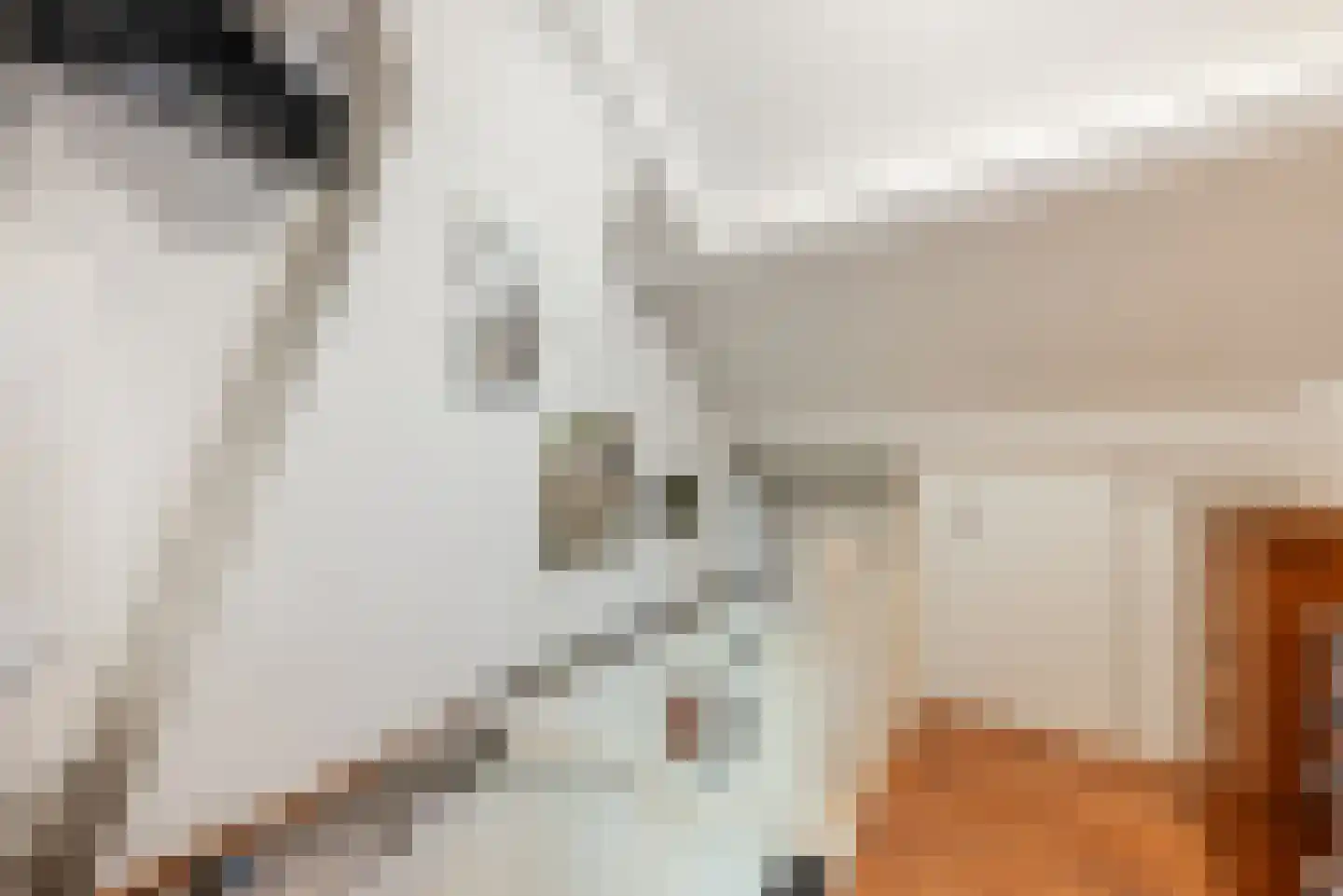 Begoniastraat 43 Echt thumbnail 36