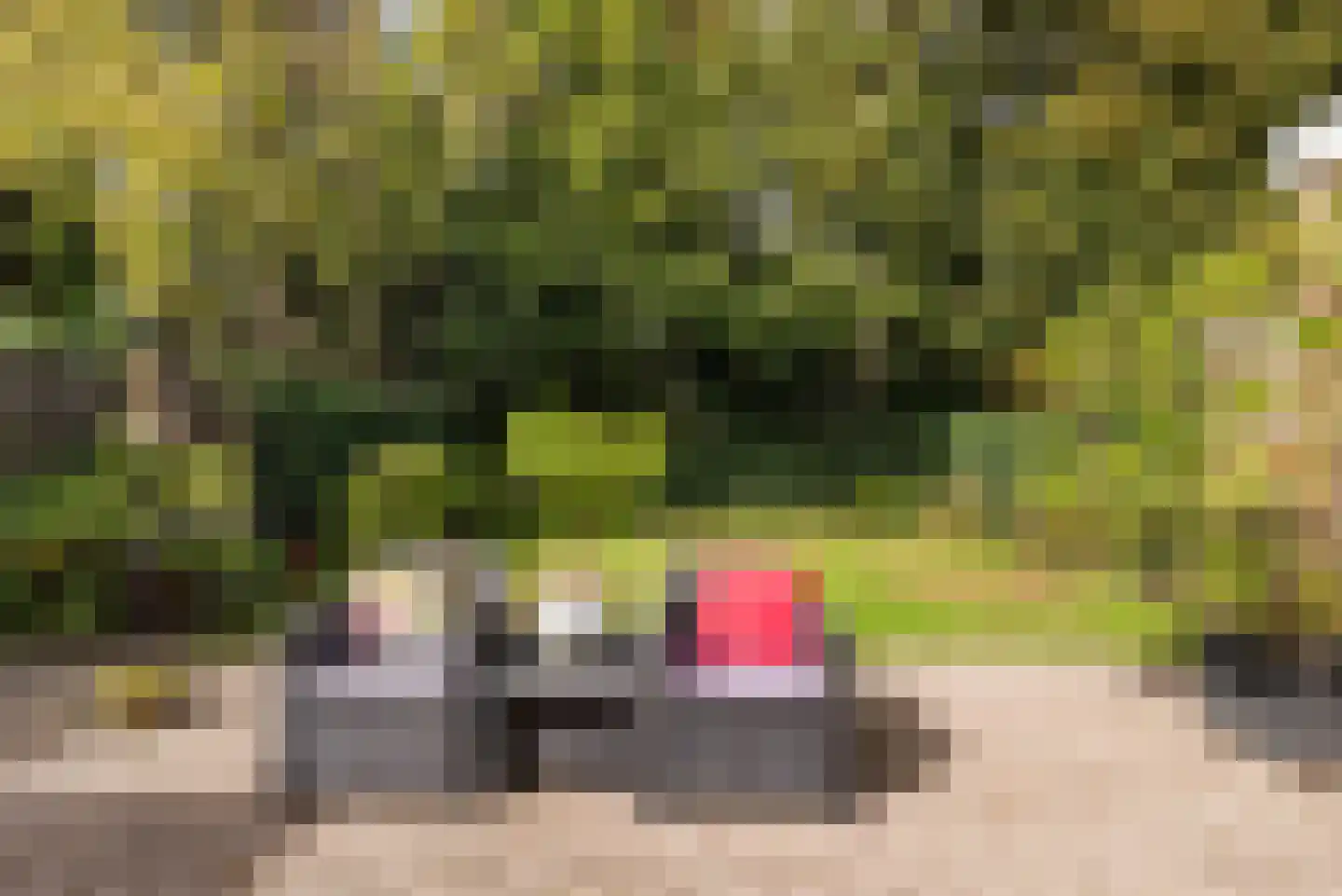 Begoniastraat 43 Echt thumbnail 41