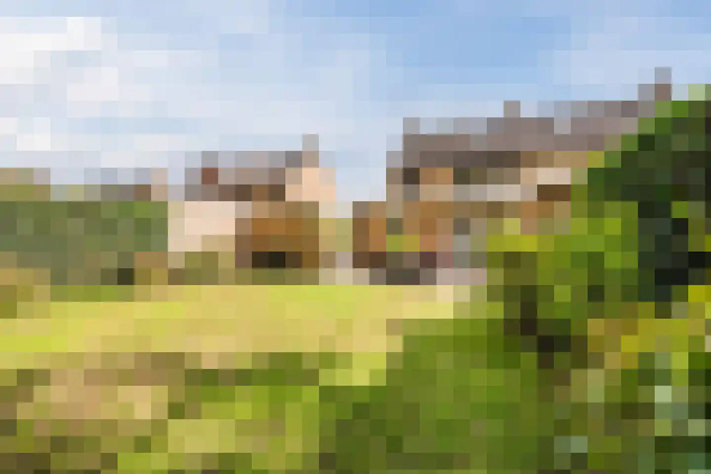 Begoniastraat 43 Echt thumbnail 42