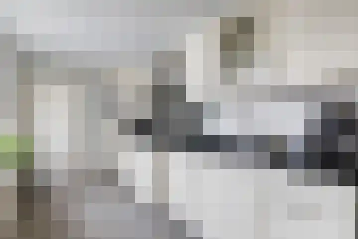 Begoniastraat 44 Almelo thumbnail 11