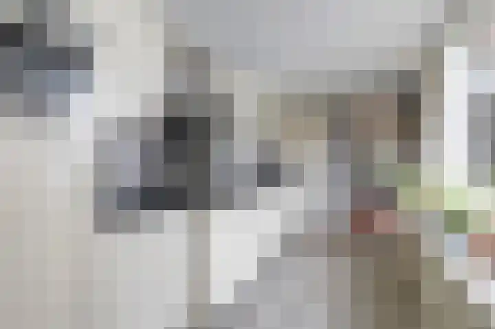 Begoniastraat 44 Almelo thumbnail 12