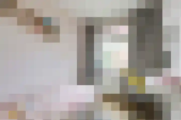 Begoniastraat 44 Almelo thumbnail 17