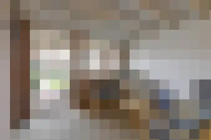 Begoniastraat 44 Almelo thumbnail 21
