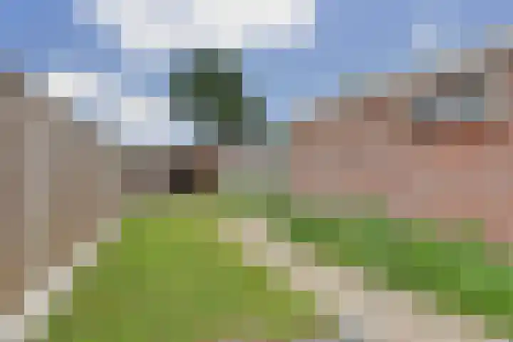 Begoniastraat 44 Almelo thumbnail 22