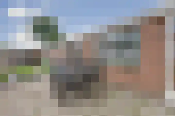 Begoniastraat 44 Almelo thumbnail 23