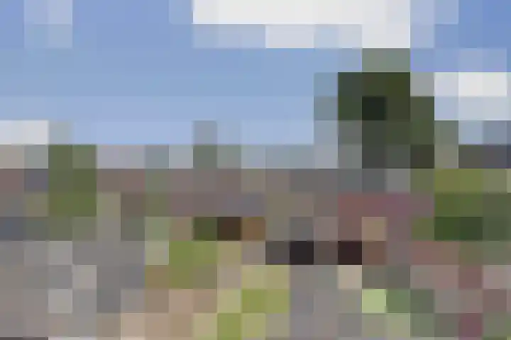 Begoniastraat 44 Almelo thumbnail 25