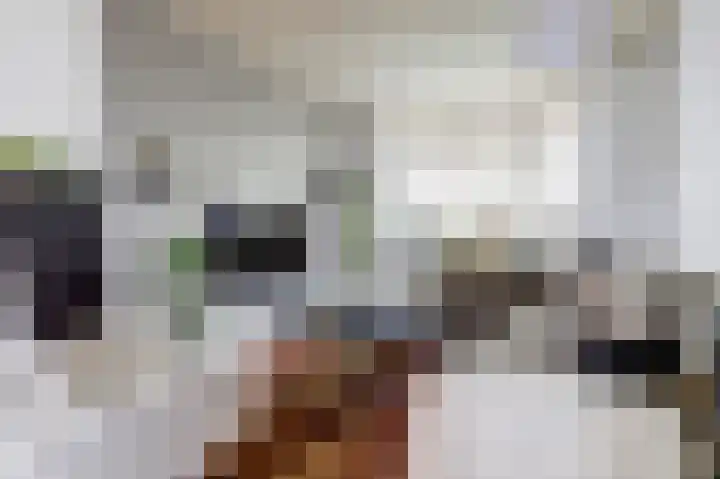 Begoniastraat 44 Almelo thumbnail 7