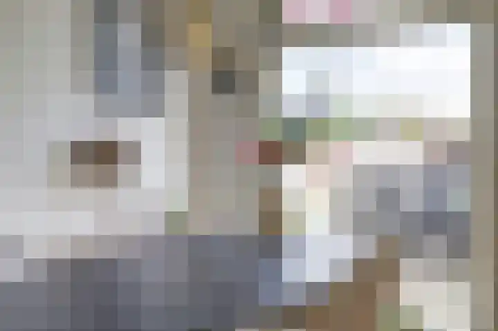 Begoniastraat 44 Almelo thumbnail 9